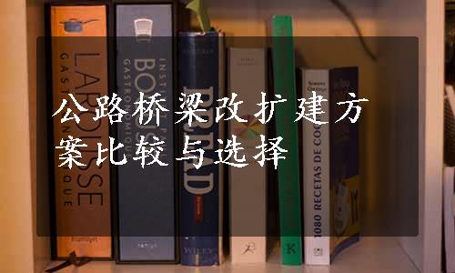 公路桥梁改扩建方案比较与选择