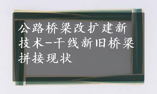 公路桥梁改扩建新技术-干线新旧桥梁拼接现状