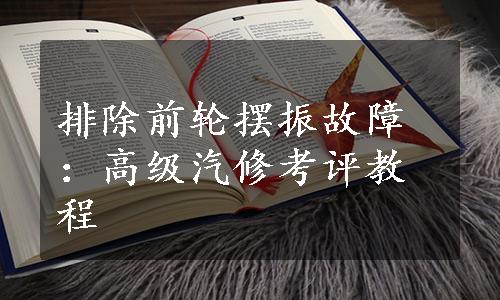 排除前轮摆振故障：高级汽修考评教程