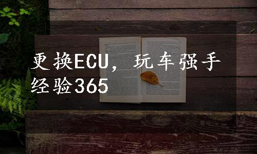 更换ECU，玩车强手经验365