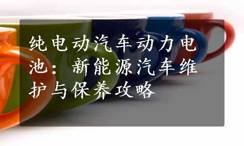 纯电动汽车动力电池：新能源汽车维护与保养攻略