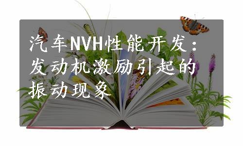 汽车NVH性能开发：发动机激励引起的振动现象