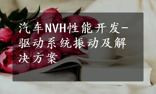 汽车NVH性能开发-驱动系统振动及解决方案