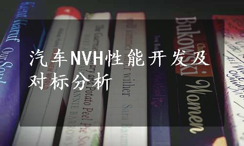 汽车NVH性能开发及对标分析