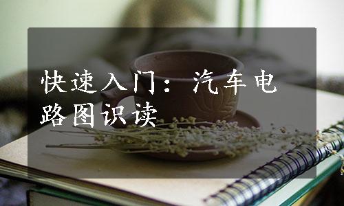 快速入门：汽车电路图识读