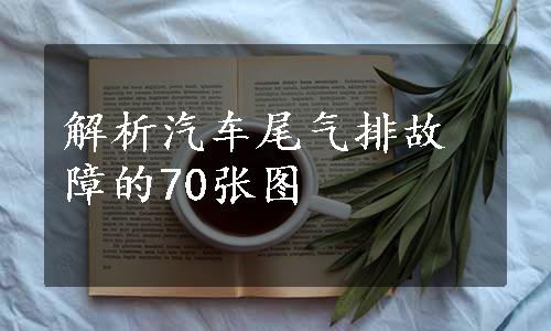 解析汽车尾气排故障的70张图