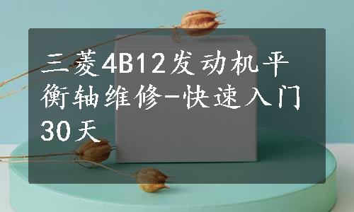 三菱4B12发动机平衡轴维修-快速入门30天