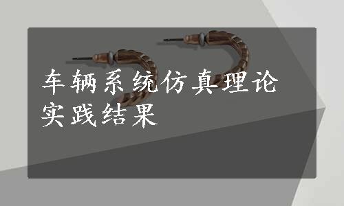 车辆系统仿真理论实践结果