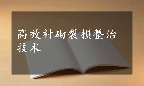 高效衬砌裂损整治技术