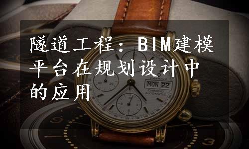 隧道工程：BIM建模平台在规划设计中的应用