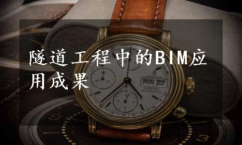 隧道工程中的BIM应用成果