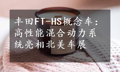 丰田FT-HS概念车：高性能混合动力系统亮相北美车展