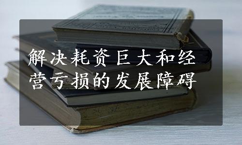 解决耗资巨大和经营亏损的发展障碍