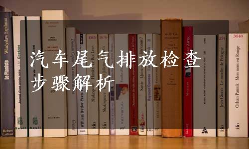 汽车尾气排放检查步骤解析