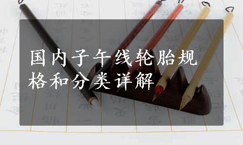 国内子午线轮胎规格和分类详解