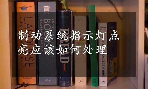 制动系统指示灯点亮应该如何处理