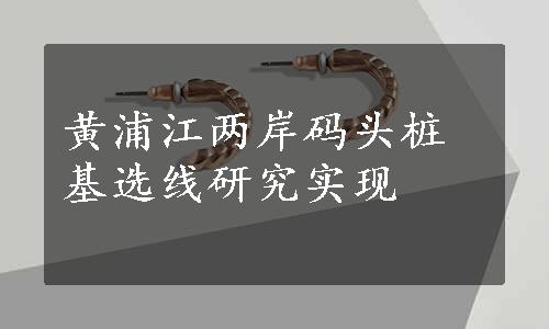 黄浦江两岸码头桩基选线研究实现