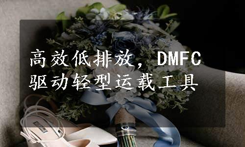 高效低排放，DMFC驱动轻型运载工具