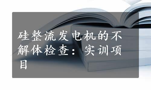 硅整流发电机的不解体检查：实训项目