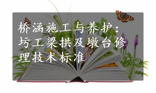 桥涵施工与养护：圬工梁拱及墩台修理技术标准