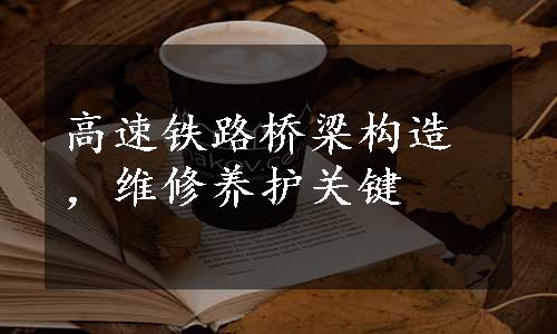 高速铁路桥梁构造，维修养护关键