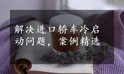 解决进口轿车冷启动问题，案例精选