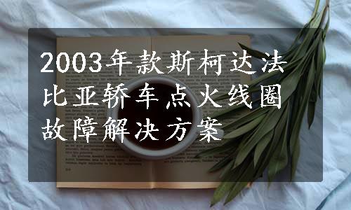 2003年款斯柯达法比亚轿车点火线圈故障解决方案