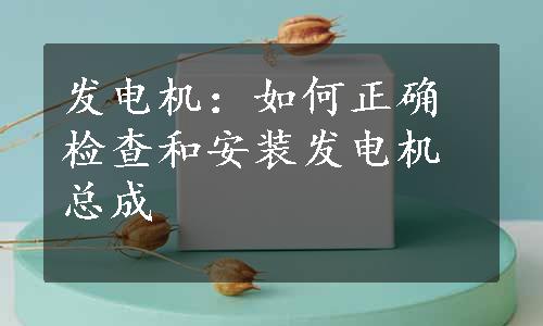 发电机：如何正确检查和安装发电机总成