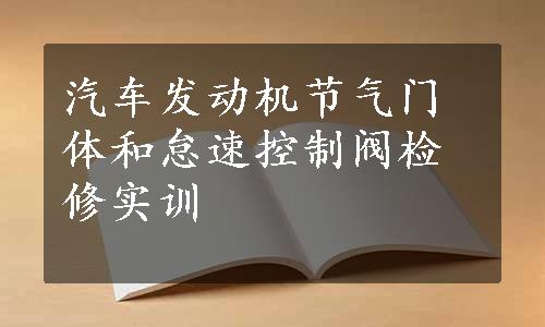 汽车发动机节气门体和怠速控制阀检修实训