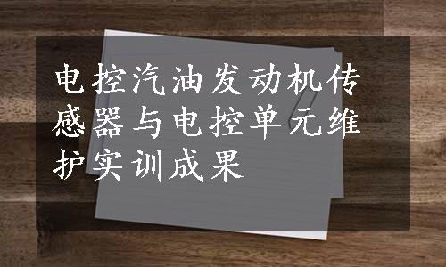 电控汽油发动机传感器与电控单元维护实训成果