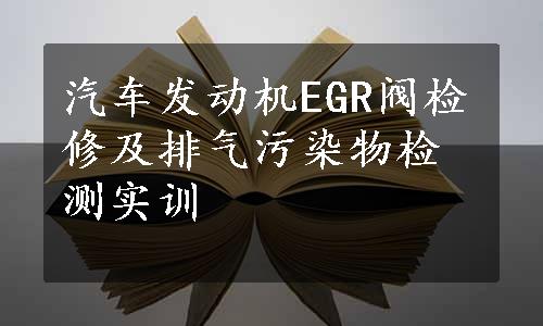 汽车发动机EGR阀检修及排气污染物检测实训