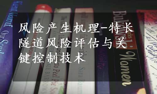 风险产生机理-特长隧道风险评估与关键控制技术