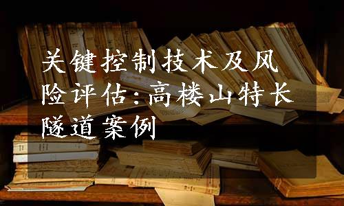 关键控制技术及风险评估:高楼山特长隧道案例