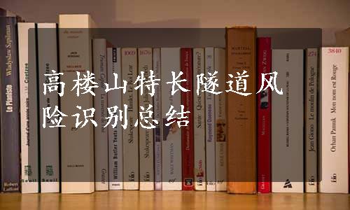 高楼山特长隧道风险识别总结