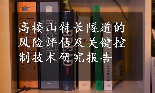 高楼山特长隧道的风险评估及关键控制技术研究报告