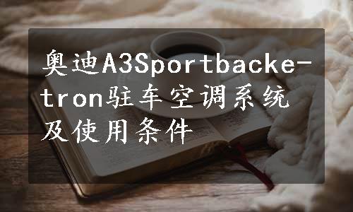 奥迪A3Sportbacke-tron驻车空调系统及使用条件