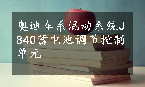 奥迪车系混动系统J840蓄电池调节控制单元