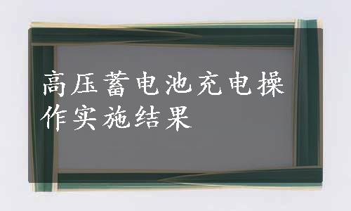 高压蓄电池充电操作实施结果