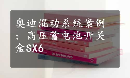 奥迪混动系统案例：高压蓄电池开关盒SX6