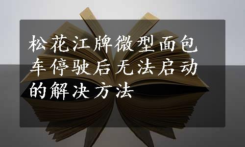 松花江牌微型面包车停驶后无法启动的解决方法