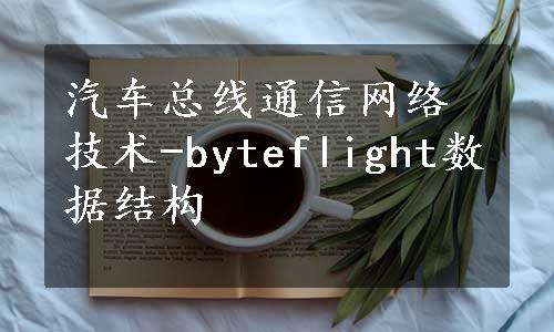 汽车总线通信网络技术-byteflight数据结构