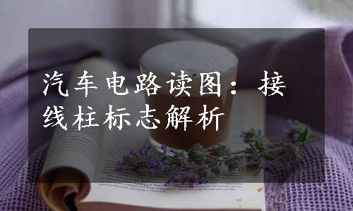 汽车电路读图：接线柱标志解析