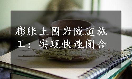 膨胀土围岩隧道施工：实现快速闭合