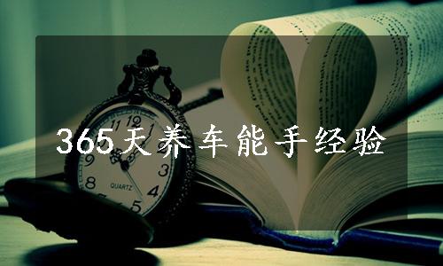 365天养车能手经验