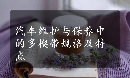 汽车维护与保养中的多楔带规格及特点