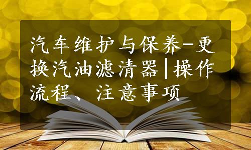 汽车维护与保养-更换汽油滤清器|操作流程、注意事项