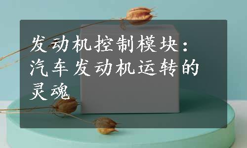 发动机控制模块：汽车发动机运转的灵魂