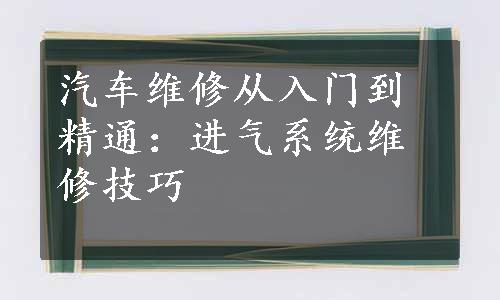 汽车维修从入门到精通：进气系统维修技巧