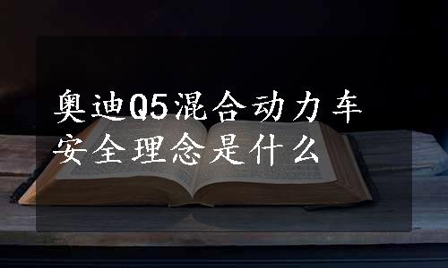 奥迪Q5混合动力车安全理念是什么