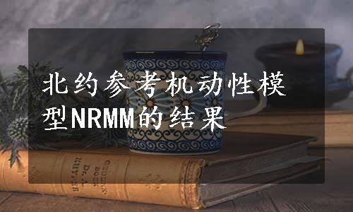 北约参考机动性模型NRMM的结果